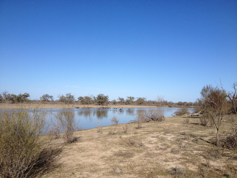 Illustration for article titled Roamin' the Riverland.